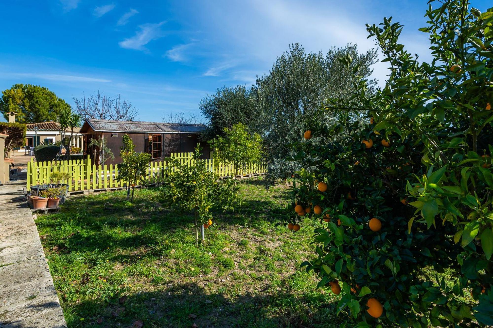 Finca Son Macia Сельва Экстерьер фото